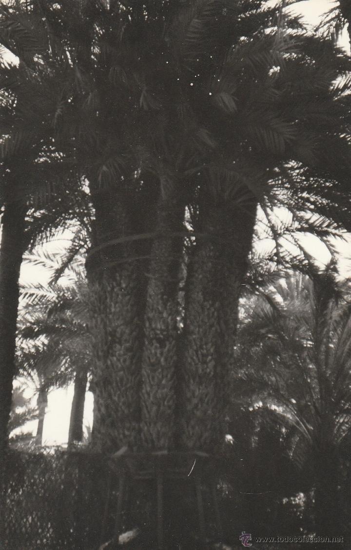 Cartoline: N&ordm; 16239 FOTO POSTAL REALIZADA POR UN TURISTA SIN DATAR