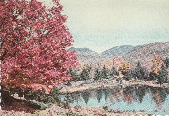 Postales: C. Y Z. 6307 - Foto 1
