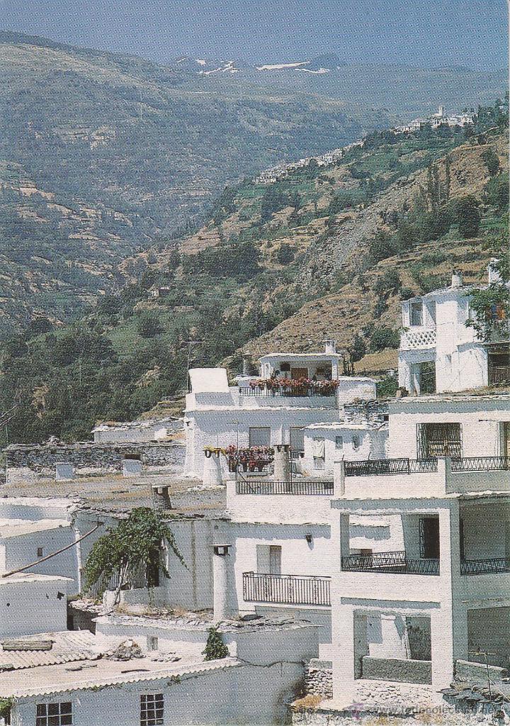Postcards: ALPUJARRAS. EL ZOCO ALPUJARE&Ntilde;O. DISTRIBUCIONES GRANADINAS. SIN CIRCULAR