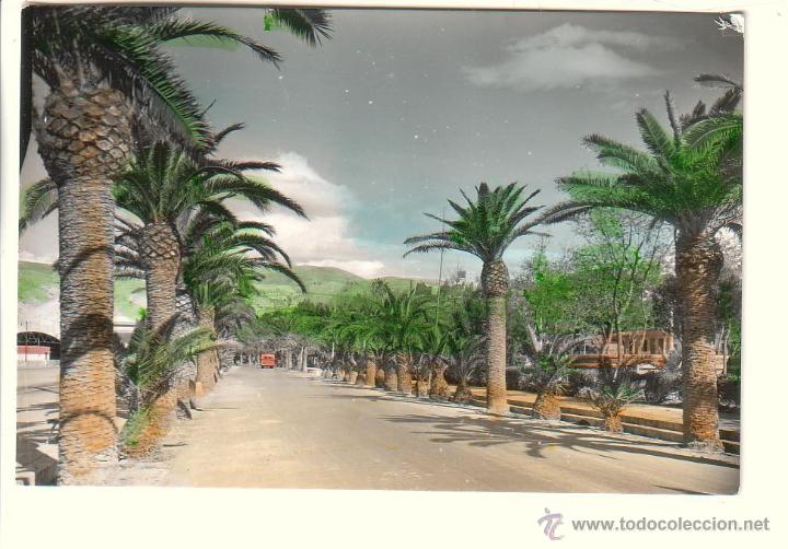 Postales: ALMERIA.- PASEO DE PALMERAS Y PARQUE - Foto 1