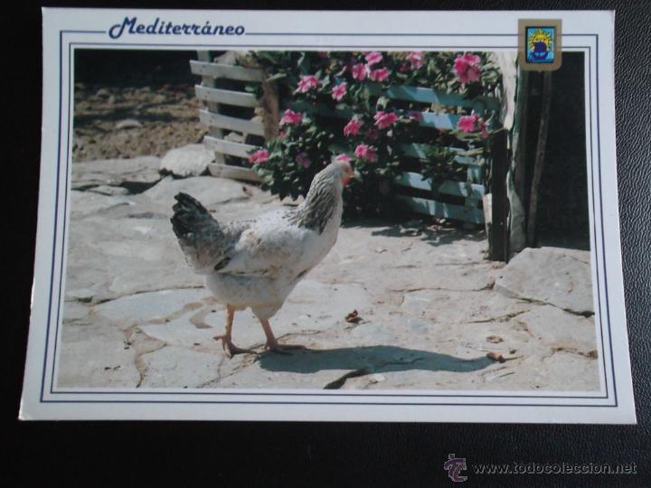 Postcards: Colecci&oacute;n Mediterr&aacute;neo. Holidays Line n&ordm; 79. Escudo de Oro. Color y  nueva.