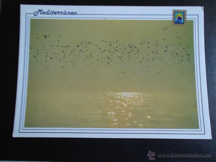 Postcards: Colecci&oacute;n Mediterr&aacute;neo. Holidays Line n&ordm; 73. Escudo de Oro. Color y  nueva.