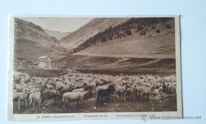 Postales: Postal de Nuria - Foto 1