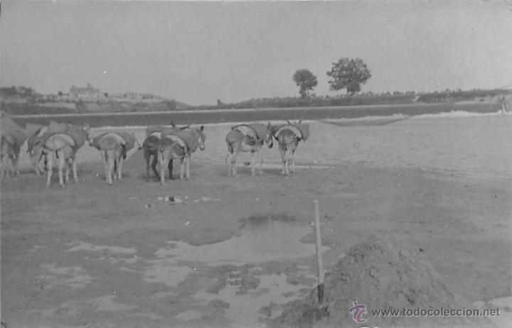 Postais: POSTAL FOTOGR&Aacute;FICA SIN LOCALIZAR