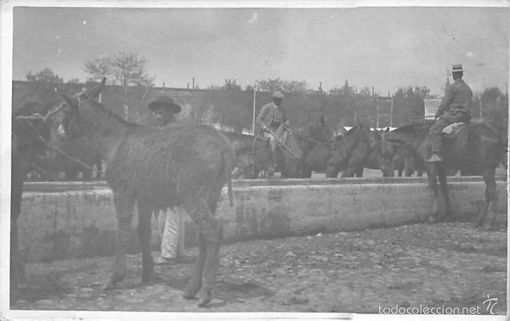 Postais: POSTAL FOTOGR&Aacute;FICA SIN LOCALIZAR