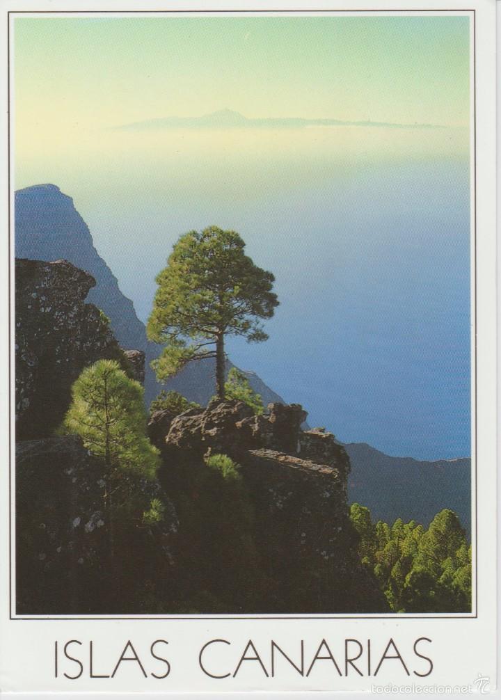 Postales: (25) CANARIAS MAGICA - Foto 1