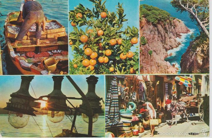 Postales: (1127) ESPA&Ntilde;A. DETALLES TIPICOS DE LA COSTA - Foto 1