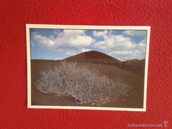 Postais: POSTAL POSTCARD ISLAS CANARIAS LAS AFORTUNADAS EXCLUSIVA DE COMERCIAL SILVA VER FOTO/S Y DESCRIPCION