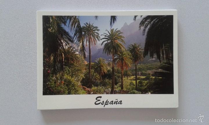 Postales: Espa&ntilde;a -- Palmeras -- - Foto 1