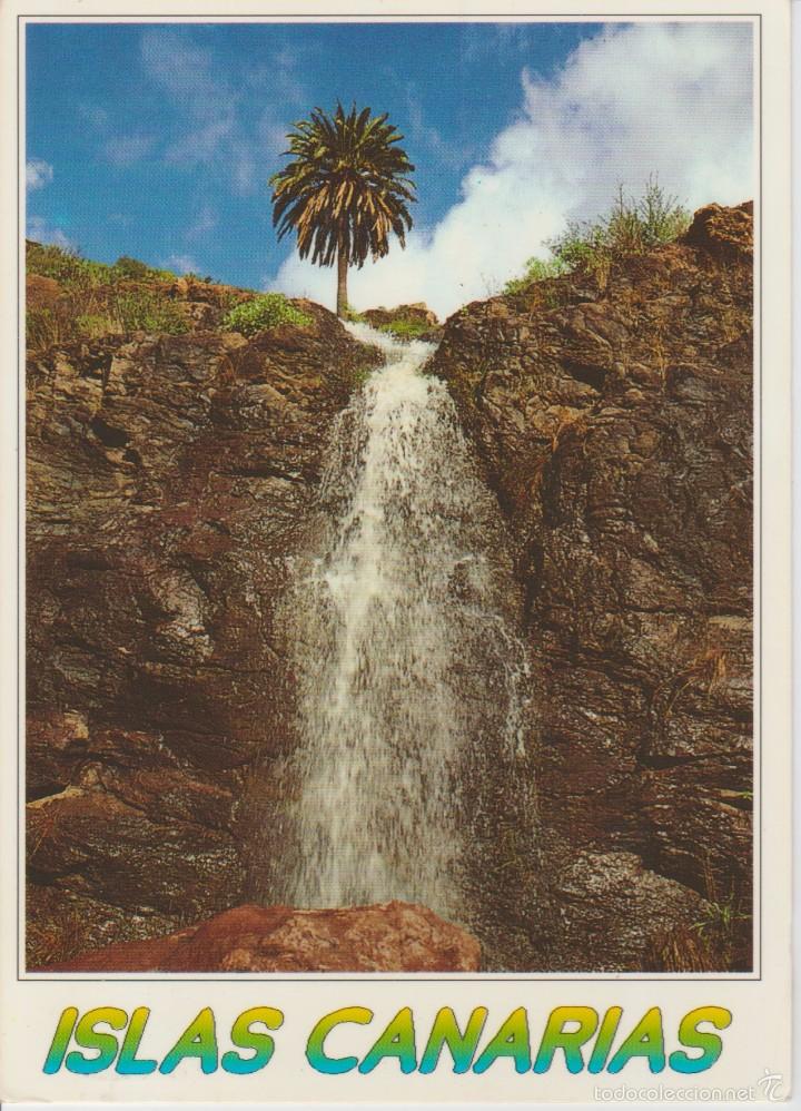 Postales: () ISLAS CANARIAS. EXOTICA - Foto 1