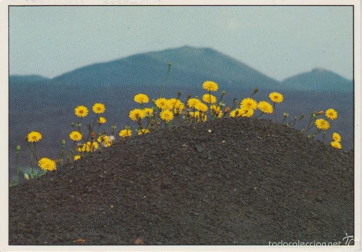 Postales: (16) ISLAS CANARIAS. ARTISTICA - Foto 1