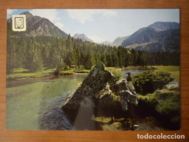Postais: POSTAL IMAGENES ESCUDO DE ORO. COLECCION PAISAJES MONTA&Ntilde;A N&ordm; 42. SIN ESCRIBIR.