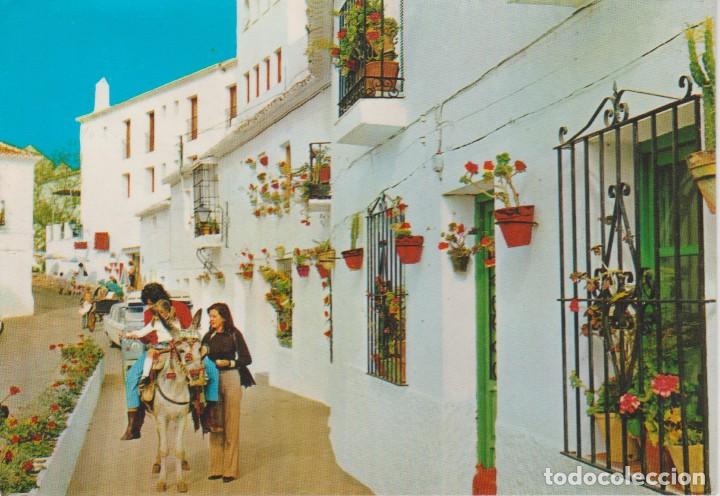 Postales: (298) ESPA&Ntilde;A TIPICA . BURRITO TIPICO - Foto 1