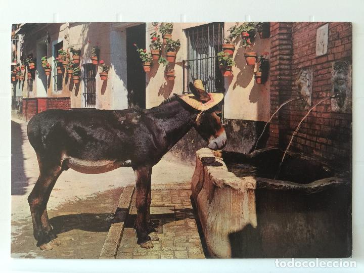 Cartes Postales: POSTAL ESCENA T&Iacute;PICA DE ESPA&Ntilde;A. ED. BEASCOA. A&Ntilde;OS 60.