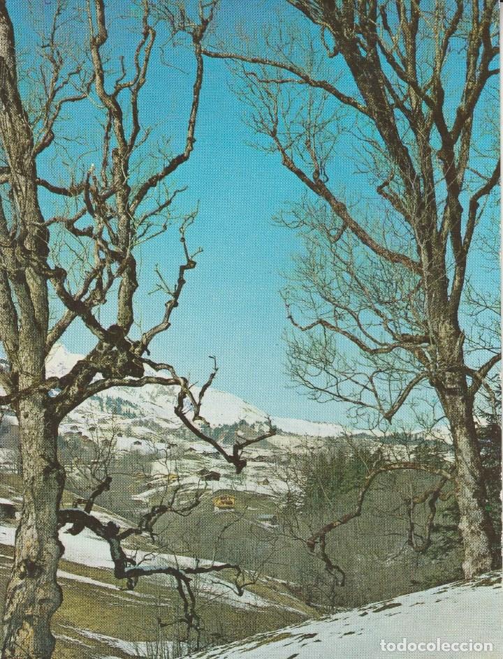 Postales: N&ordm; 29356 POSTAL SIN DATAR - Foto 1