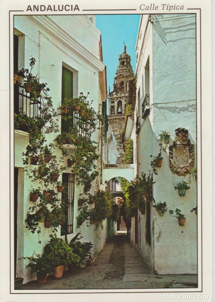 Postales: (3032) ANDALUCIA. CALLE TIPICA - Foto 1