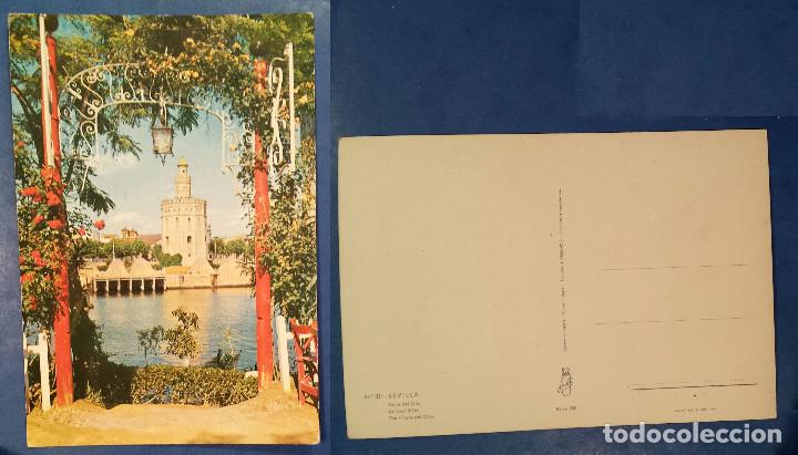 Postales: SEVILLA - TORRE DEL ORO - SPAIN - postcard - Foto 1
