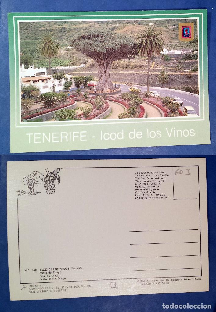 Postales: ICOD DE LOS VINOS - TENERIFE - SPAIN - postcard - Foto 1