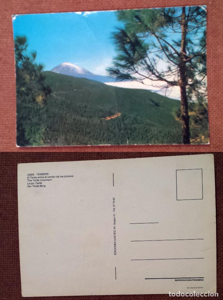 Postales: TENERIFE - SPAIN - postcard - Foto 1