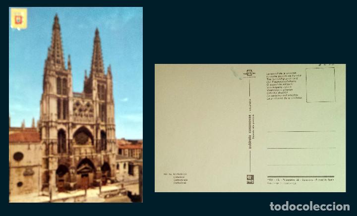 Postales: BURGOS - SPAIN - Postcard - Foto 1