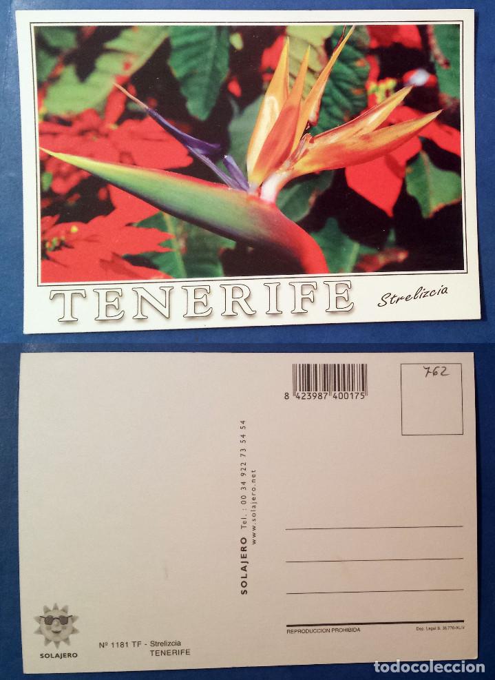 Postales: TENERIFE - SPAIN - Postcard - Foto 1