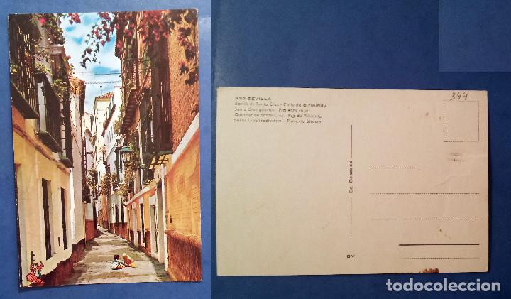 Postales: SEVILLA - SPAIN - Postcard - Foto 1