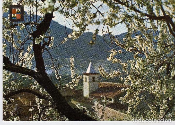 Cartes Postales: ALMENDROS EN FLOR (MALLORCA) FOTO SUBIRATS CASANOVAS N&ordm; 2233