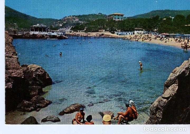 Postales: CAMP DE MAR (MALLORCA) FOTO A. CAMPA&Ntilde;A