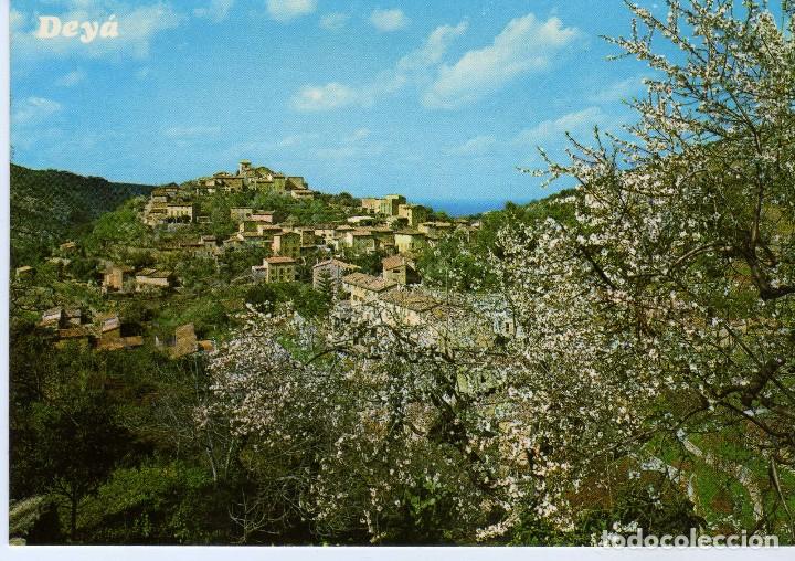Postales: ALMENDROS EN FLOR-DEYA (MALLORCA) FOTO CASA PLANAS N&ordm;2714