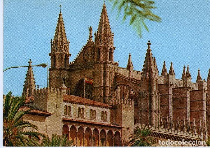 Postales: LA CATEDRAL-PALMA (MALLORCA) FOTO PAMPA N&ordm; 1084
