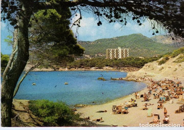 Postales: PAGUERA(MALLORCA) FOTO ZORKOWITZ N&ordm; 672