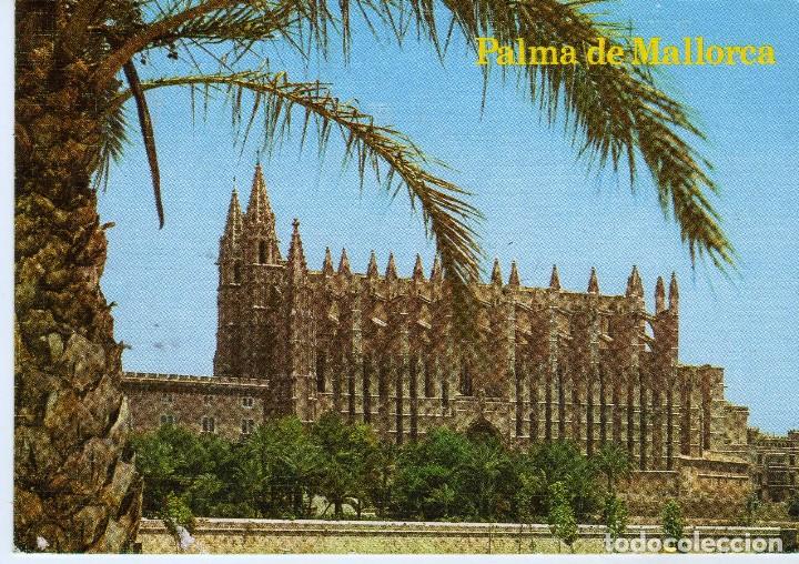 Postales: LA CATEDRAL-PALMA (MALLORCA) FOTO FOTOPERATOR N&ordm; 1579