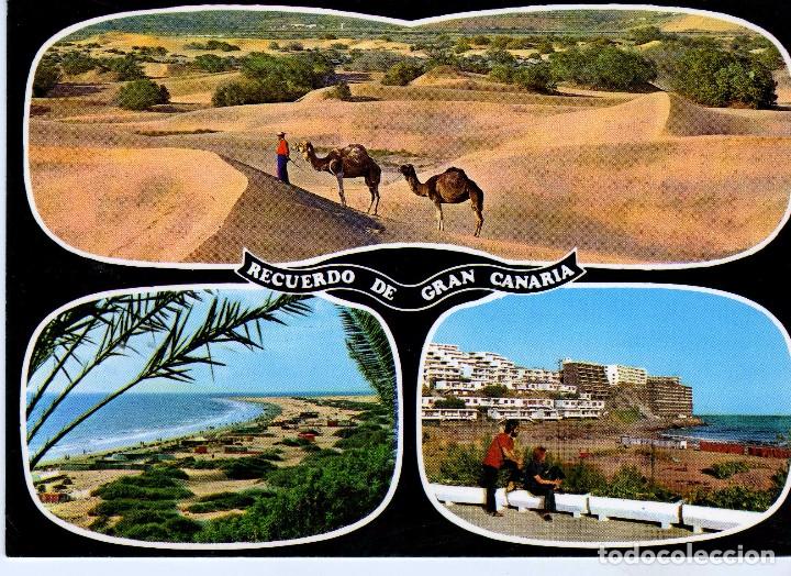 Cartes Postales: VISTA DEL SUR (GRAN CANARIA) FOTO GLOBAL TRADERS N&ordm; 1166