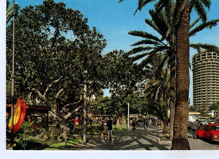 Cartes Postales: PARQUE STA CATALINA-LAS PALMAS (GRAN CANARIA) FOTO GLOBAL TRADERS