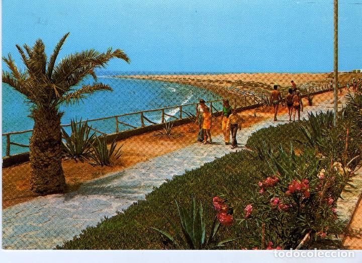 Cartes Postales: PLAYA DEL INGLES (GRAN CANARIA) FOTO CABRERA N&ordm; 5068