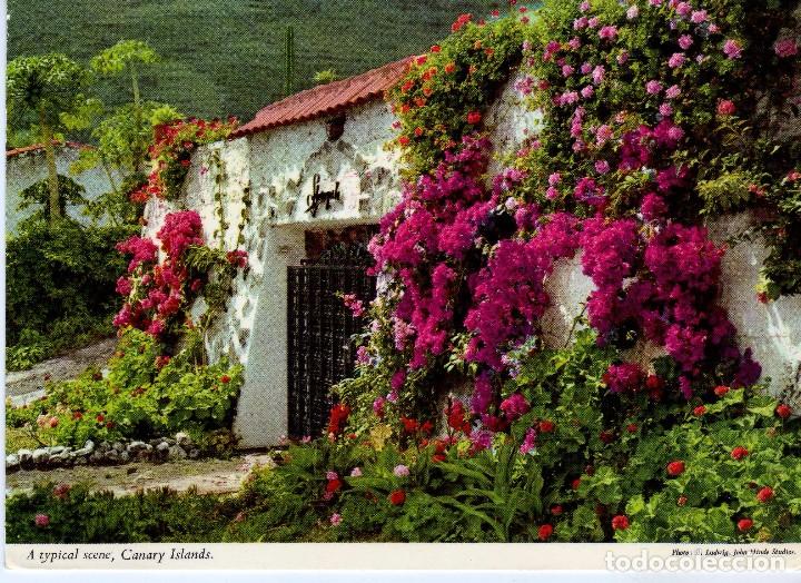 Postales: (GRAN CANARIA) FOTO E. LUDWIG - Foto 1