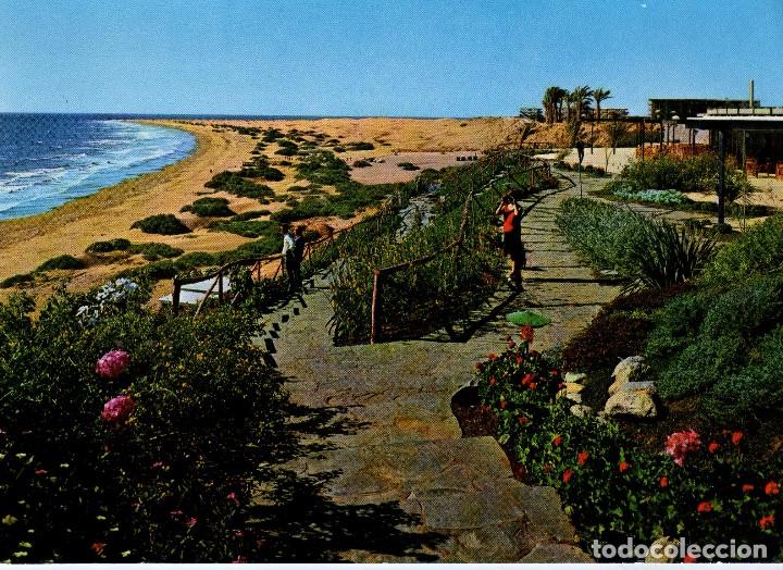 Cartes Postales: PLAYA DEL INGLES (GRAN CANARIA) FOTO RO N&ordm; 430
