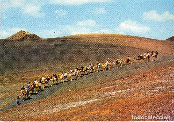Cartes Postales: MONTA&Ntilde;AS DE FUEGO (LANZAROTE) FOTO GABRIEL N&ordm; 538
