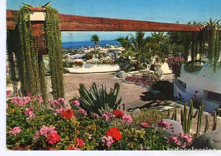 Cartoline: PISCINAS MARTINEZ - PUERTO LA CRUZ (TENERIFE) FOTO CASTRO N&ordm; 1031