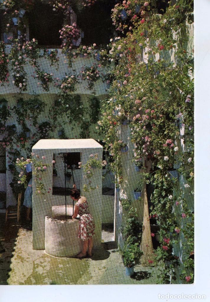 Cartoline: PATIO CORDOBES ( CORDOBA) FOTO COVI N&ordm; 1008