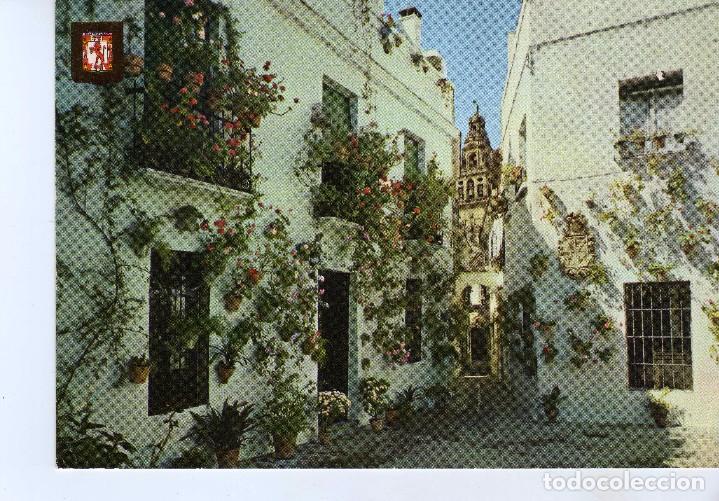 Cartoline: CALLEJA Y PLAZA DE LAS FLORES  ( CORDOBA) FOTO SUBIRATS Y CASANOVAS N&ordm; 717