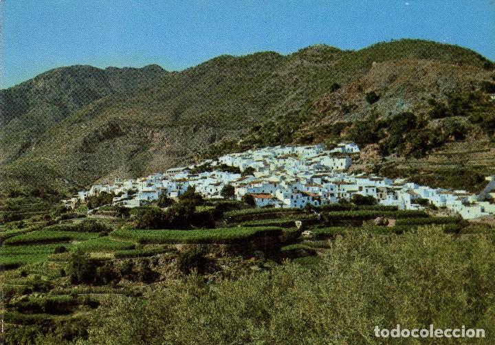 Cartoline: FRIGILIANA (MALAGA) FOTO SOM-CEREZO N&ordm; 303