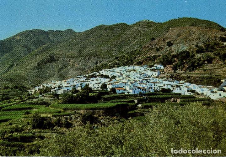 Cartoline: FRIGILIANA (MALAGA) FOTO SOM CEREZO N&ordm; 303