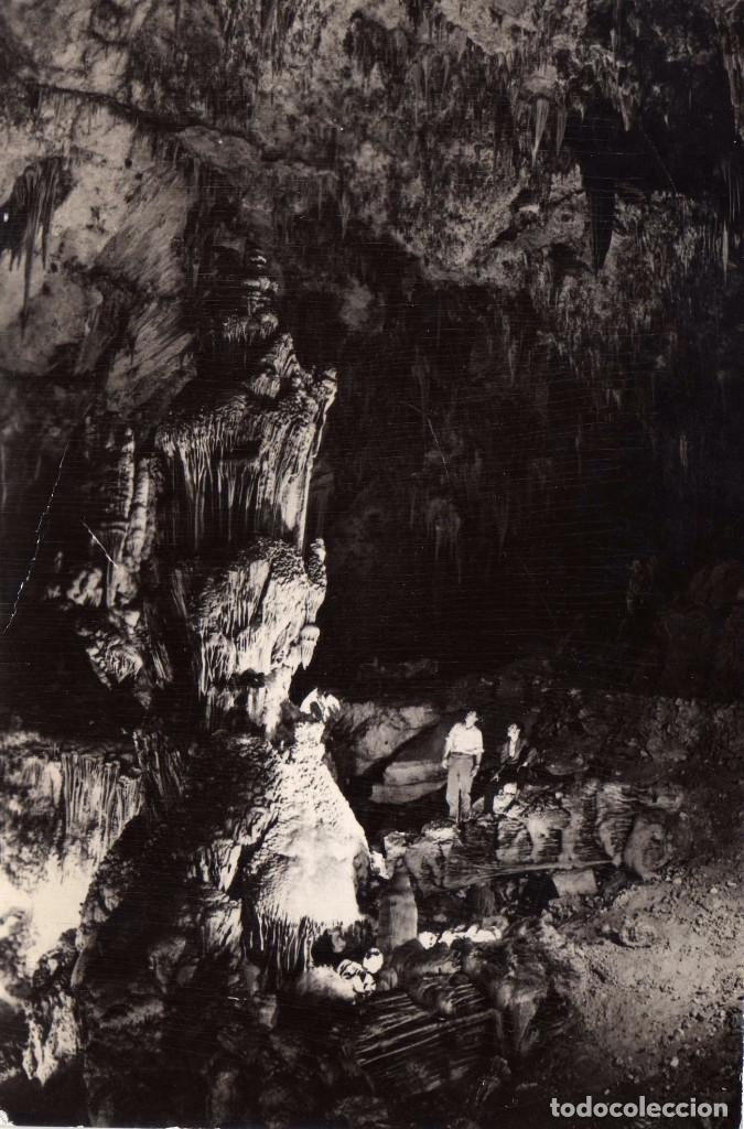Postkarten: CUEVA DE NEJAR (MALAGA) FOTO SOM CEREZO N&ordm;35