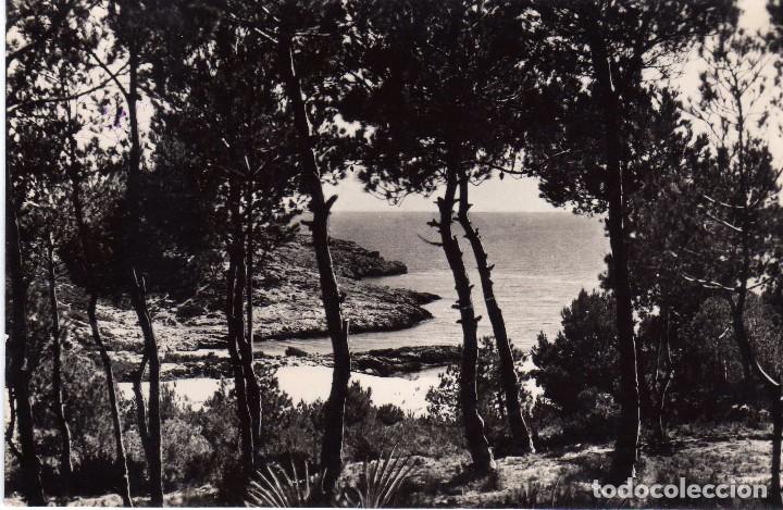 Cartoline: SALOU(COSTA DORADA) TARRAGONA-FOTO RAYMOND N&ordm; 1