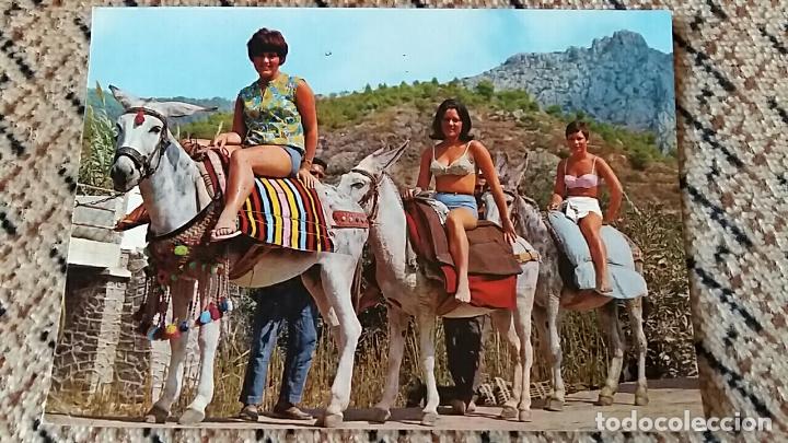 Cartes Postales: TARJETA POSTAL, POSTAL. ESPA&Ntilde;A TIPICA. BURROS EN TAXI