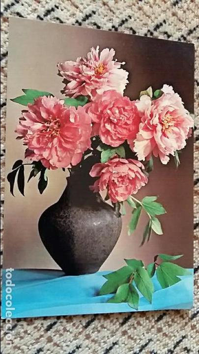 Postais: TARJETA POSTAL, POSTAL. BODEGON