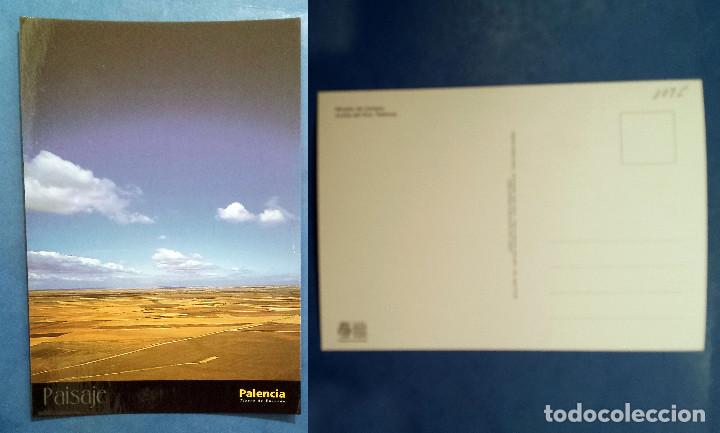 Postales: PALENCIA - SPAIN - Postcard - Foto 1