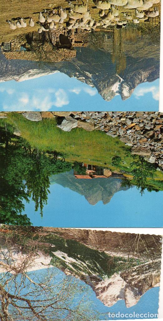 Postais: LOTE PEDRAFORCA