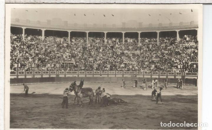 Postais: TOROS SIN ESCRIBIR
